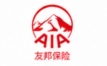 International Insurance Partner 2